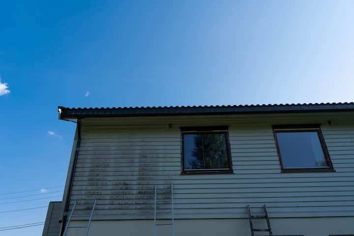 exterior mold removal services Woodstock